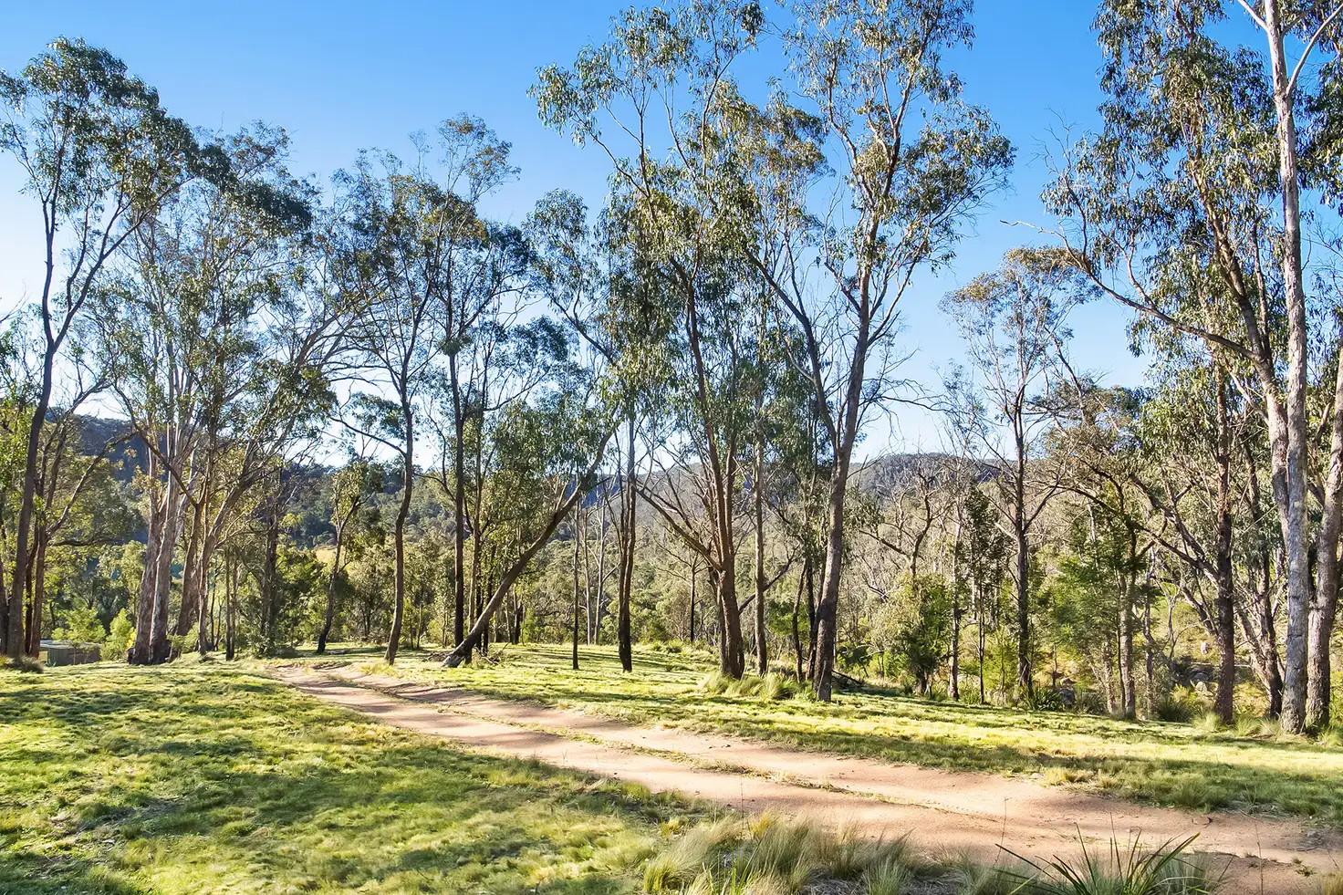 Main view of Homely rural property listing, 20 Jacks Valley Road, Joadja NSW 2575