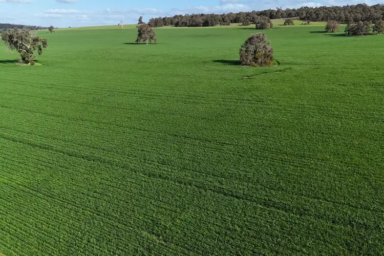 Main view of Homely rural property listing, Lot 3203 Fernie Road, Morangup WA 6083