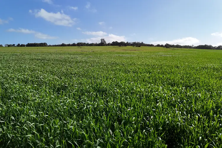 Seventh view of Homely rural property listing, Lot 3203 Fernie Road, Morangup WA 6083