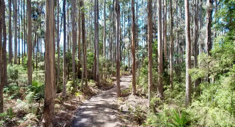Fifth view of Homely land listing, Lot 2 Lookout Road, Port Arthur TAS 7182