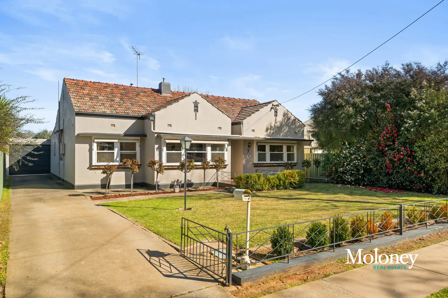 Main view of Homely house listing, 7 Alfred Street, Corowa NSW 2646
