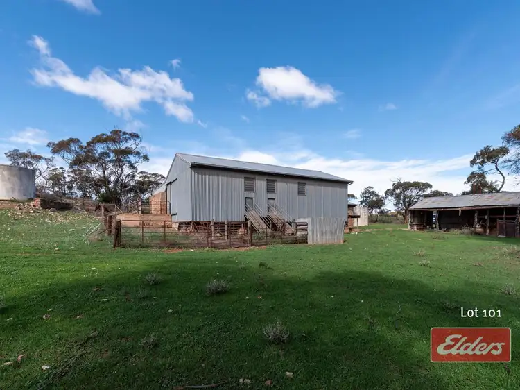 Fourth view of Homely rural property listing, LOT 101 Border Road, Peep Hill SA 5374