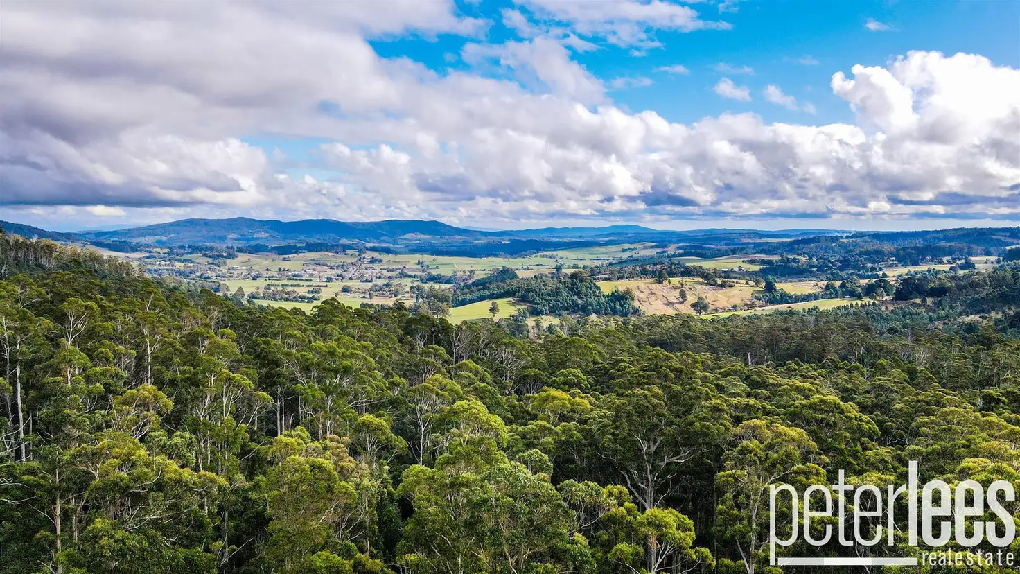 Main view of Homely rural property listing, 395 Mountain Road, Lilydale TAS 7268