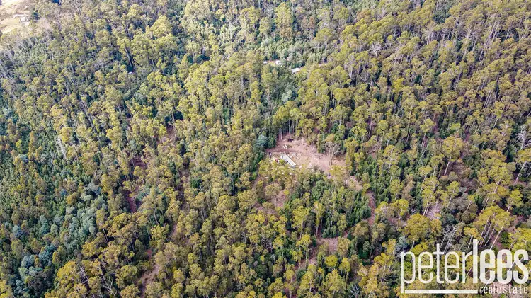Second view of Homely rural property listing, 395 Mountain Road, Lilydale TAS 7268