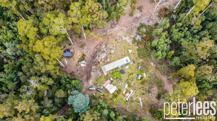 Third view of Homely rural property listing, 395 Mountain Road, Lilydale TAS 7268
