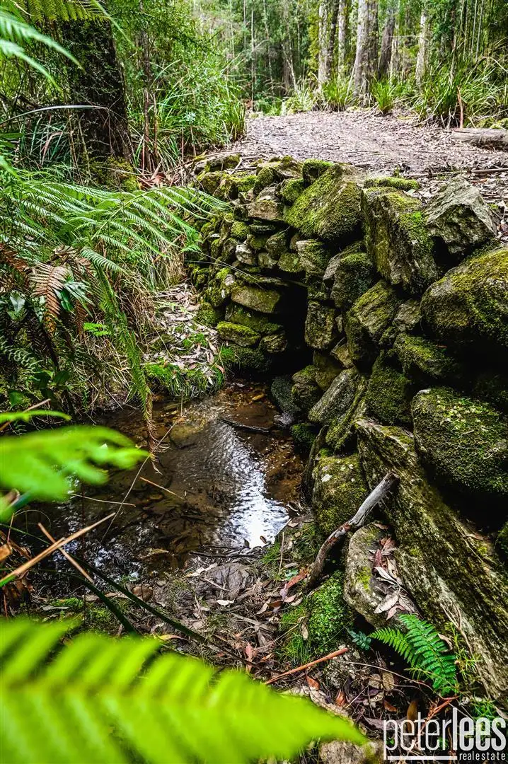 Fifth view of Homely rural property listing, 395 Mountain Road, Lilydale TAS 7268