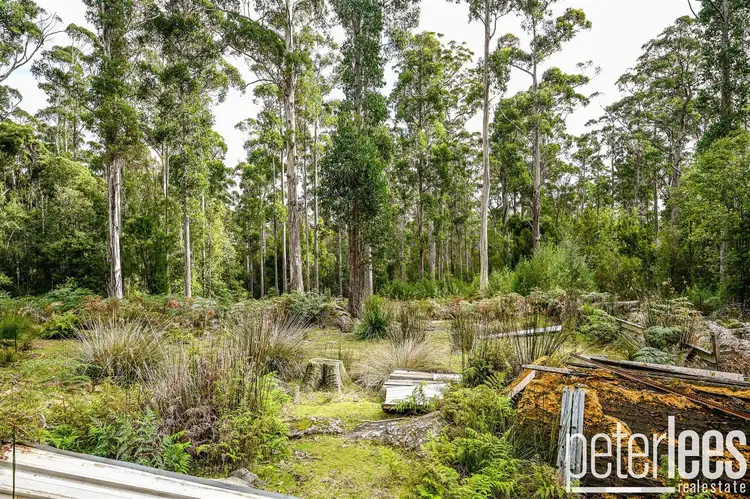 Sixth view of Homely rural property listing, 395 Mountain Road, Lilydale TAS 7268
