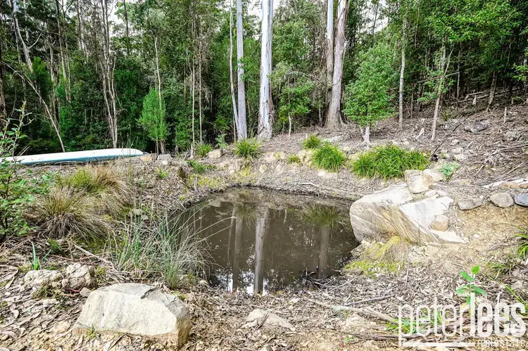 Seventh view of Homely rural property listing, 395 Mountain Road, Lilydale TAS 7268
