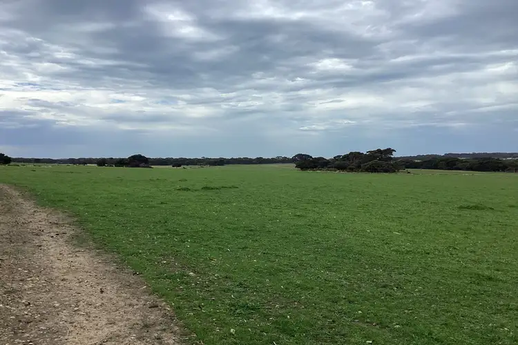 Fifth view of Homely rural property listing, 1 Rhynnie Road, Wisanger SA 5223