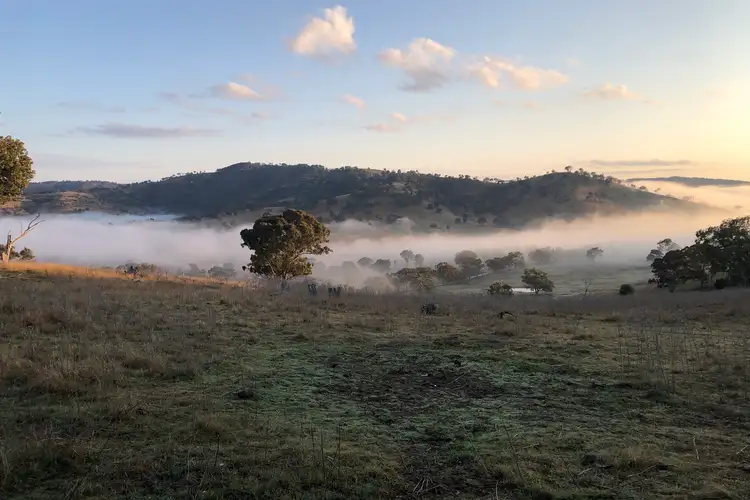 Fourth view of Homely rural property listing, 1141 Crudine Road, Bathurst NSW 2795