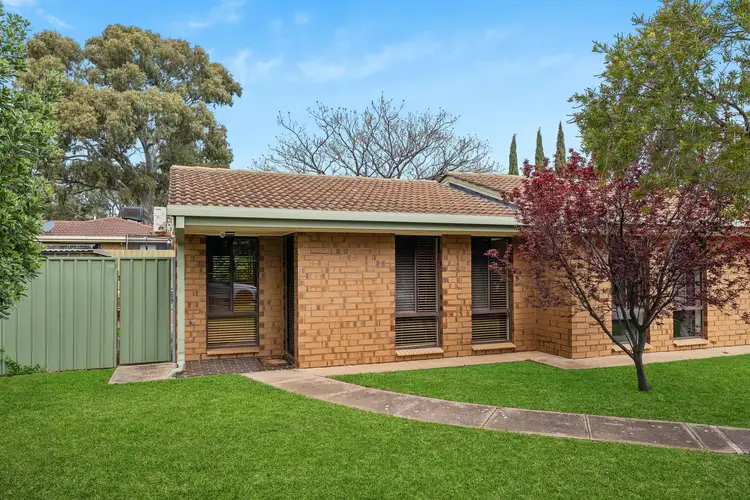 Main view of Homely unit listing, 8/13 Windsor Avenue, Clovelly Park SA 5042