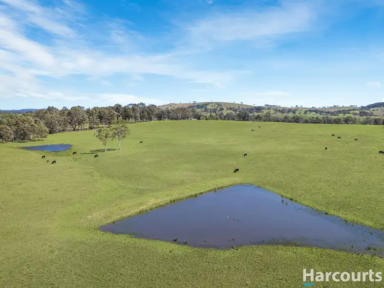 Fourth view of Homely rural property listing, 429 Glen Martin Road, Glen Martin NSW 2321