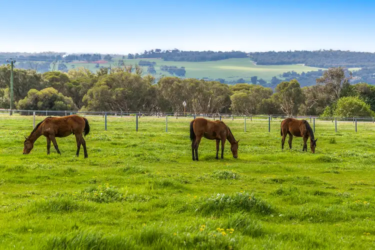 Seventh view of Homely rural property listing, 24 Gaston Road, Bullsbrook WA 6084