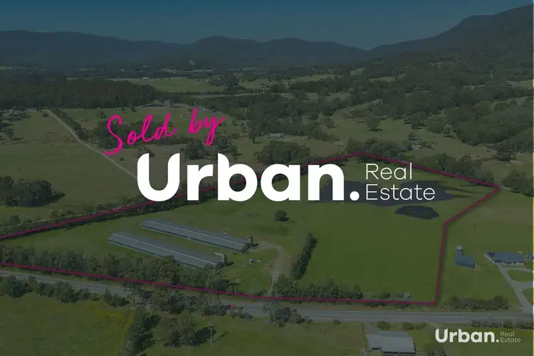 269 Sandy Creek Road, Mount Vincent NSW 2323
