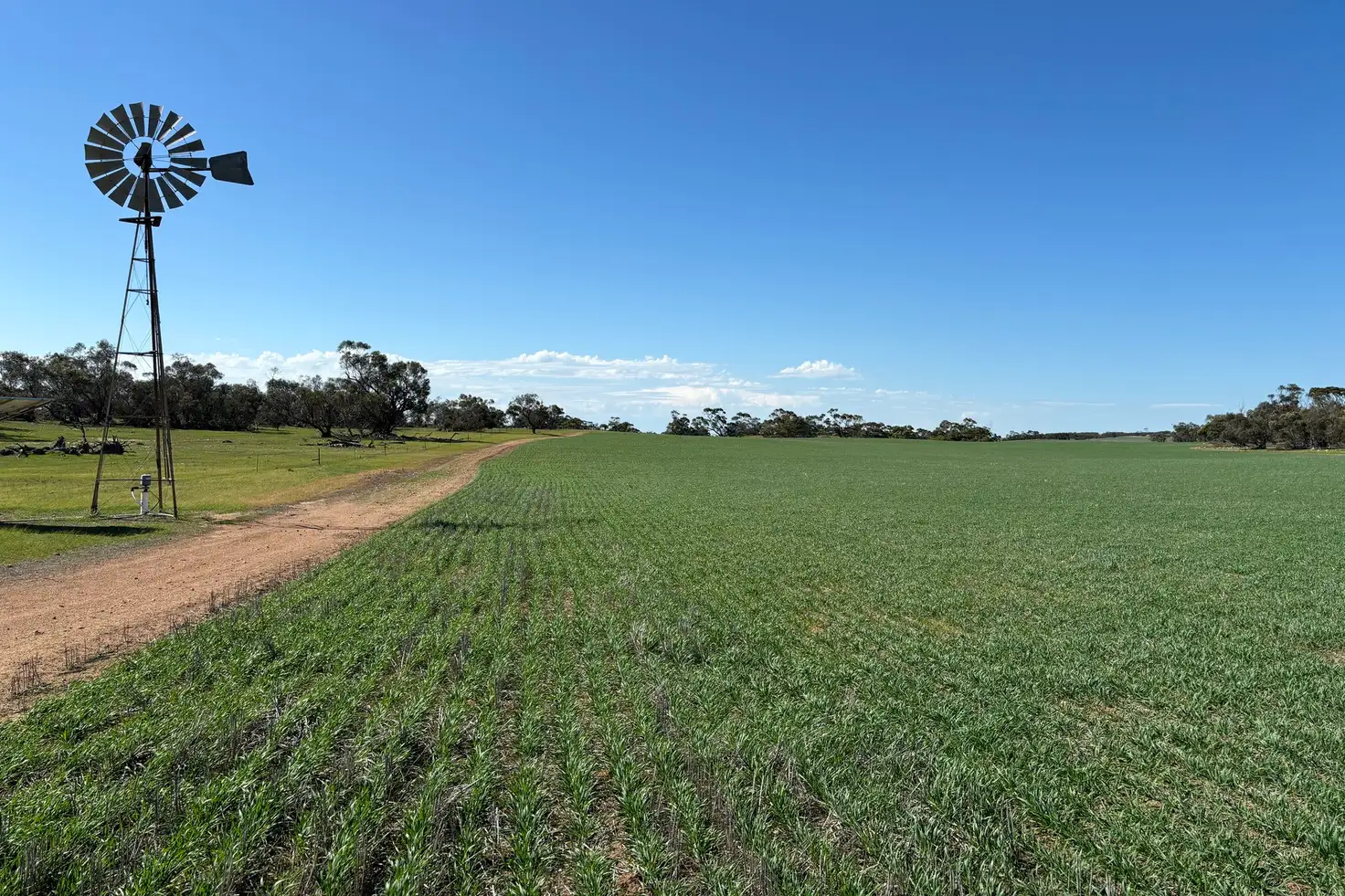 Main view of Homely rural property listing, Lot 52 Larne Drive, Mount Wedge SA 5670