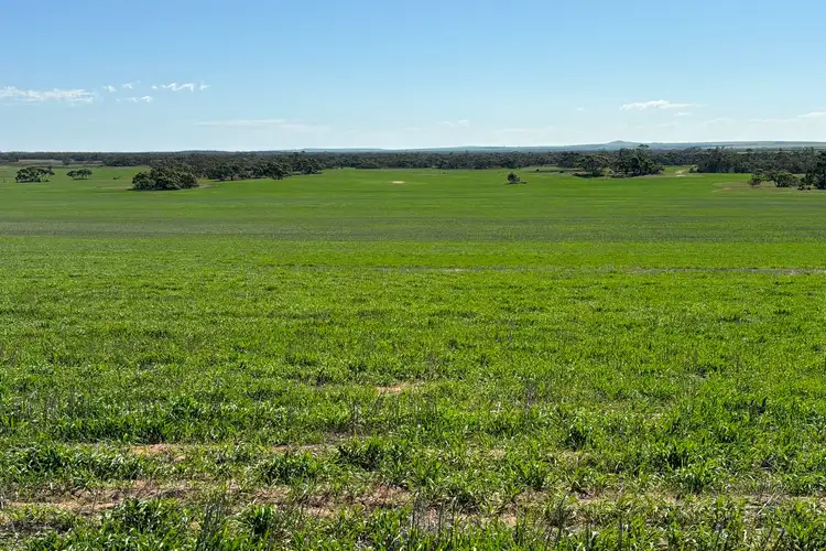 Third view of Homely rural property listing, Lot 52 Larne Drive, Mount Wedge SA 5670