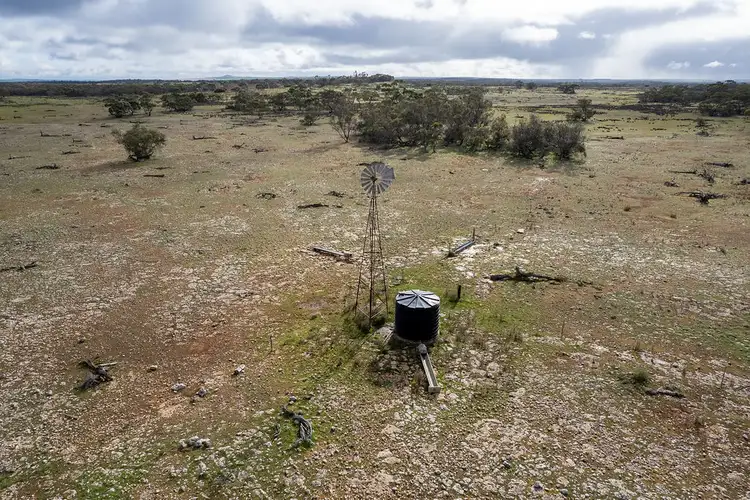 Seventh view of Homely rural property listing, Lot 52 Larne Drive, Mount Wedge SA 5670