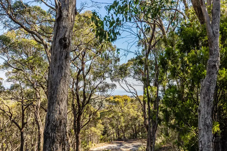 Sixth view of Homely land listing, 3 Summer Hill Drive, Crafers SA 5152