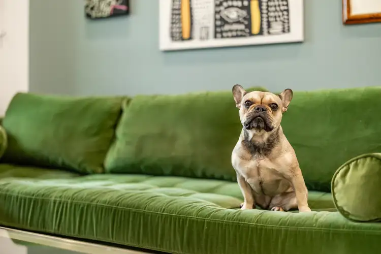 Fifth view of Homely apartment listing, 205/69 Melbourne Street, North Adelaide SA 5006