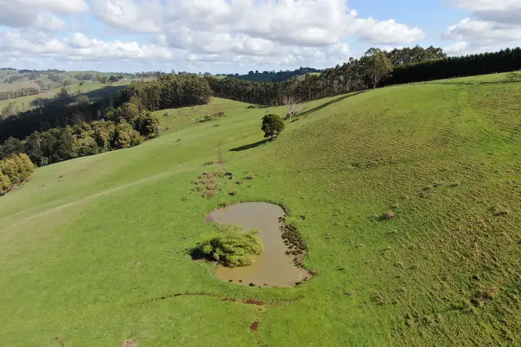Fourth view of Homely rural property listing, 191 Allmans Road, Trida VIC 3953