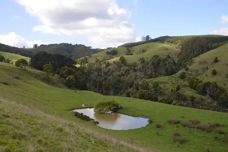 Seventh view of Homely rural property listing, 191 Allmans Road, Trida VIC 3953