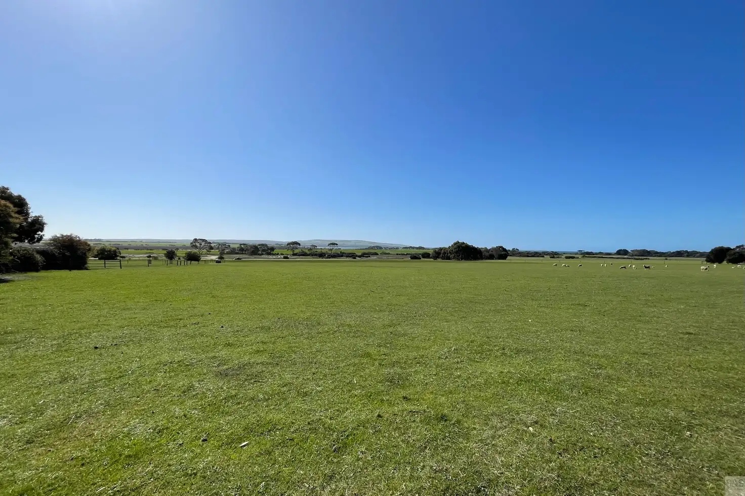 Main view of Homely rural property listing, Lot 9 Bellmore Road, Wisanger SA 5223