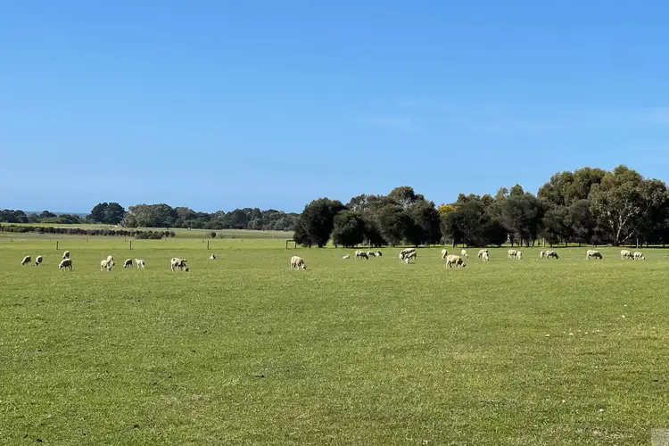 Third view of Homely rural property listing, Lot 9 Bellmore Road, Wisanger SA 5223