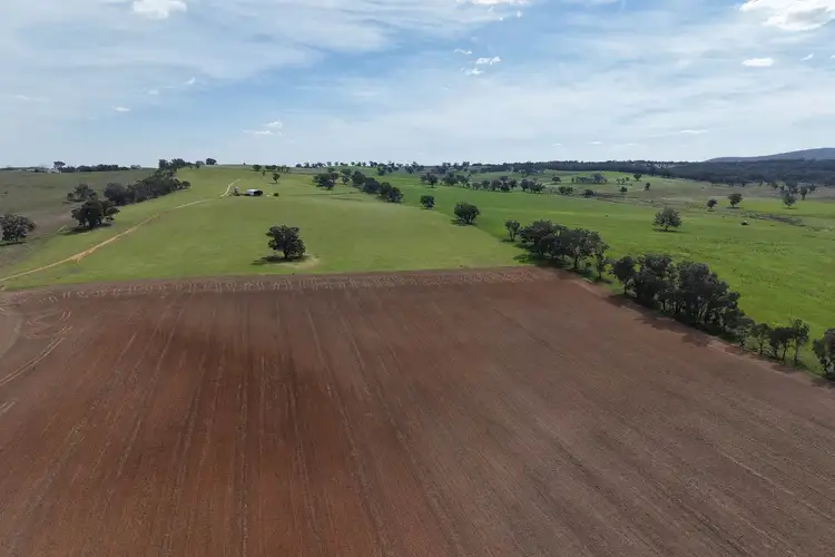 Bumbaldry Road, Greenethorpe NSW 2809
