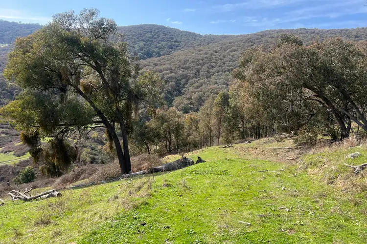 Fourth view of Homely rural property listing, 220 McFarlanes Lane, Granya VIC 3701