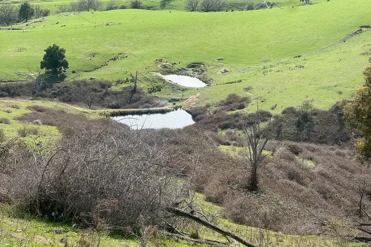 Fifth view of Homely rural property listing, 220 McFarlanes Lane, Granya VIC 3701