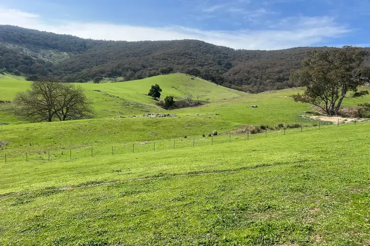 Sixth view of Homely rural property listing, 220 McFarlanes Lane, Granya VIC 3701