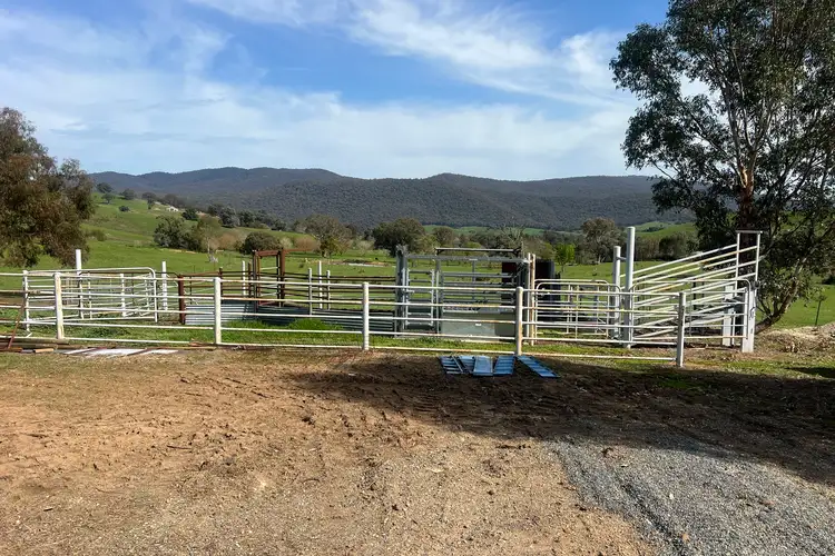 Seventh view of Homely rural property listing, 220 McFarlanes Lane, Granya VIC 3701