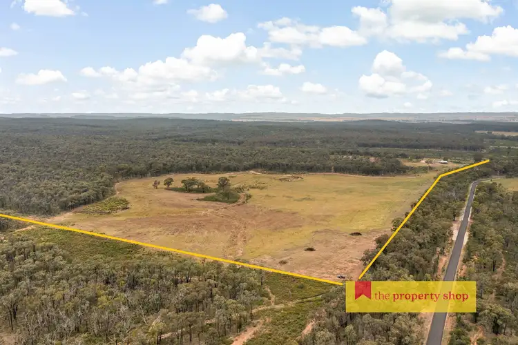 Fourth view of Homely rural property listing, 249 Spring Ridge Road, Dunedoo NSW 2844
