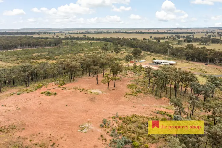 Sixth view of Homely rural property listing, 249 Spring Ridge Road, Dunedoo NSW 2844