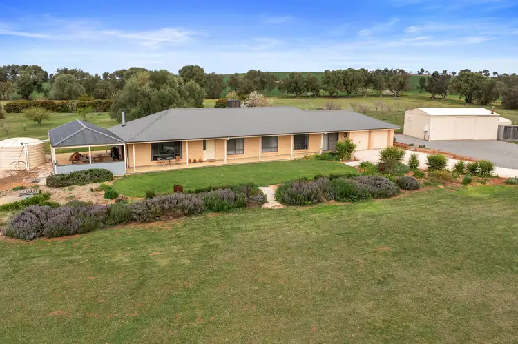 1016 Saddleworth Road, Saddleworth SA 5413