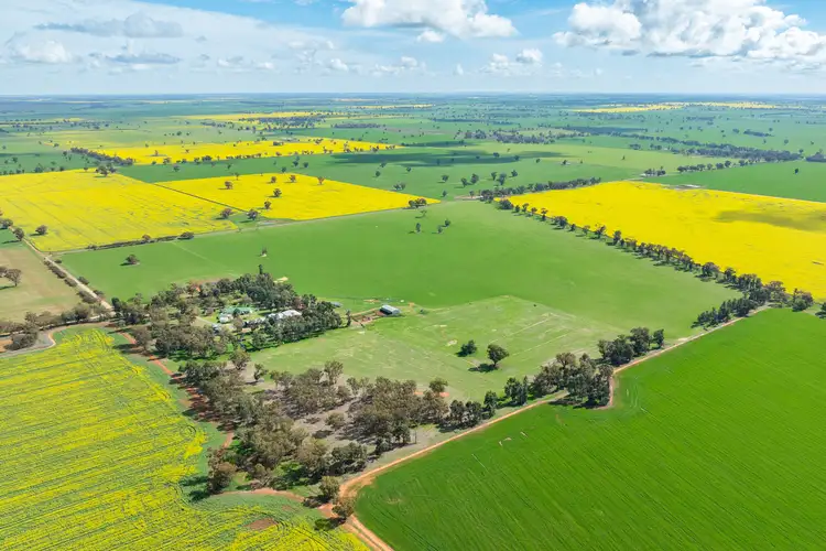 162 Back Ferndale Road, Rand NSW 2642