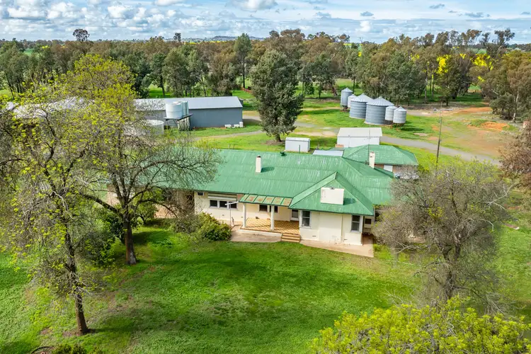 Third view of Homely rural property listing, 162 Back Ferndale Road, Rand NSW 2642
