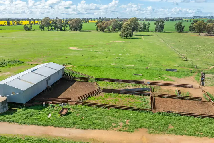 Fourth view of Homely rural property listing, 162 Back Ferndale Road, Rand NSW 2642