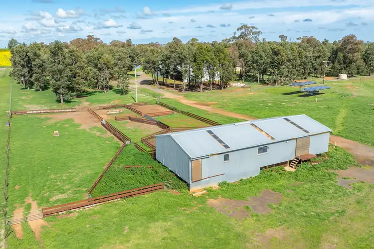 Fifth view of Homely rural property listing, 162 Back Ferndale Road, Rand NSW 2642