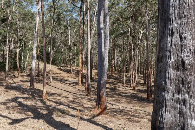 Seventh view of Homely land listing, 8 Van Aardt Close, Way Way NSW 2447