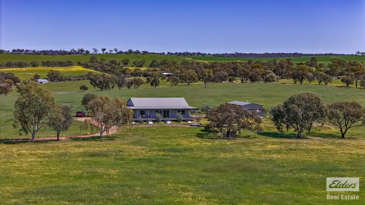 487 Wongamine Road, Buckland WA 6401