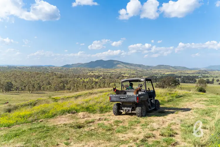 Fourth view of Homely rural property listing, 146 Hamiltons Crossing Road, Singleton NSW 2330