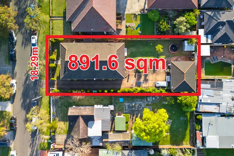17 Telopea Street, Punchbowl NSW 2196