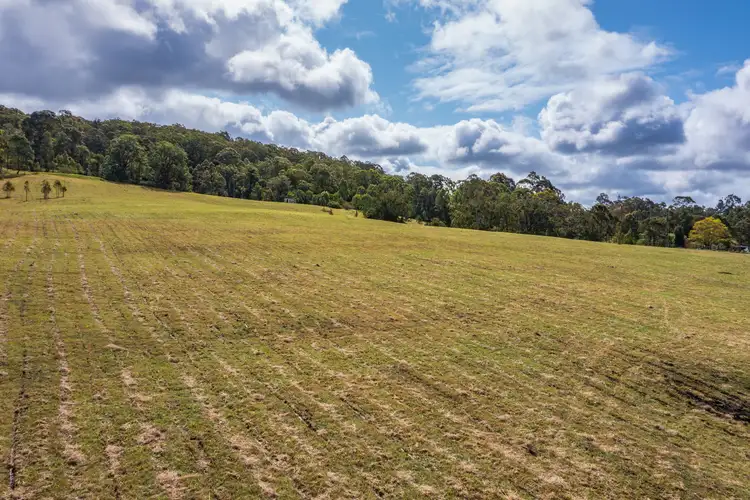 Sixth view of Homely rural property listing, 1166 Ebsworth Road, Booral NSW 2425