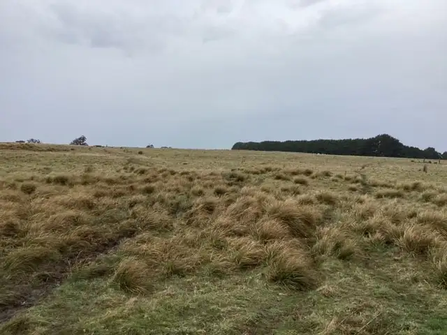 Fifth view of Homely rural property listing, Lot 6 Kennedys Lane, Bunding VIC 3342