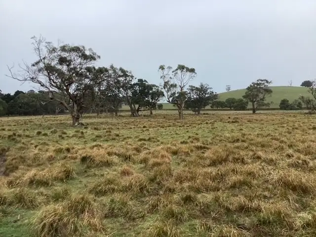 Seventh view of Homely rural property listing, Lot 6 Kennedys Lane, Bunding VIC 3342