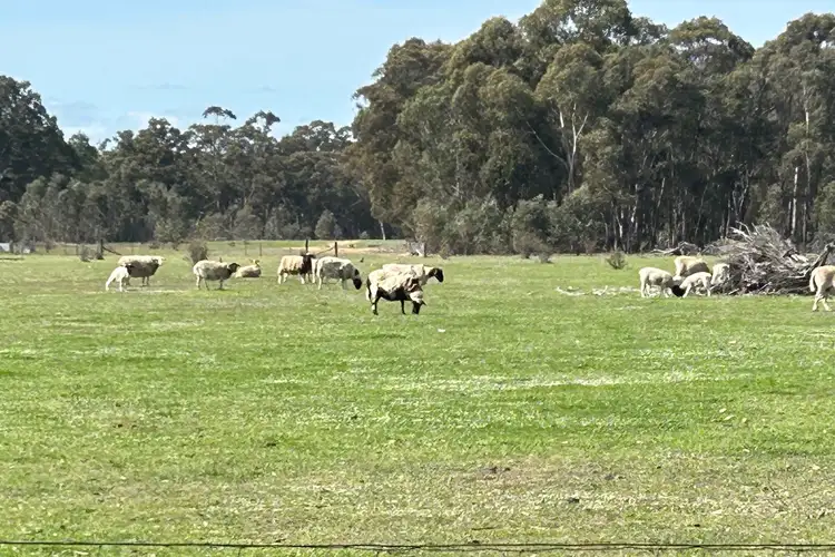 104 Parkers Road, Moliagul VIC 3472