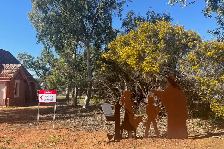 60 Fowler Street, Perenjori WA 6620