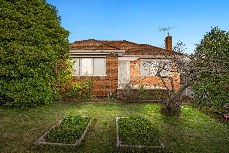 Main view of Homely house listing, 51 Windsor Avenue, Mount Waverley VIC 3149
