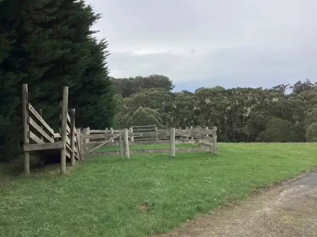 Fourth view of Homely rural property listing, 236 Morrisons Lane, Korobeit VIC 3341